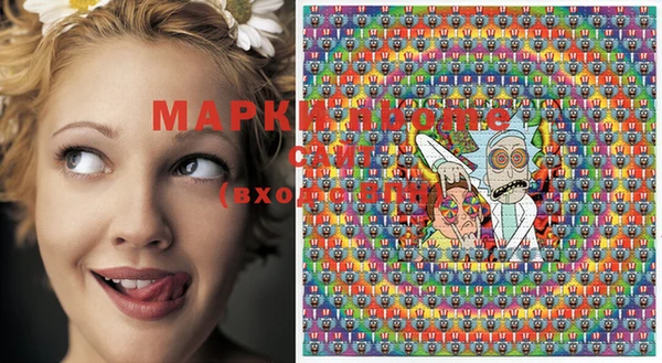 крисы Надым