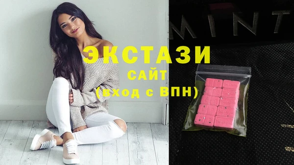 крисы Надым