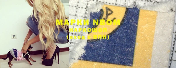 крисы Надым