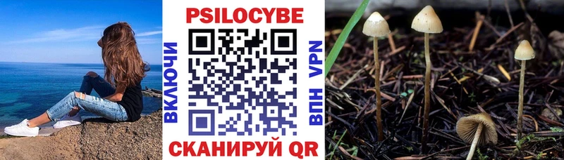 Псилоцибиновые грибы мицелий  Купить где  Петрозаводск 